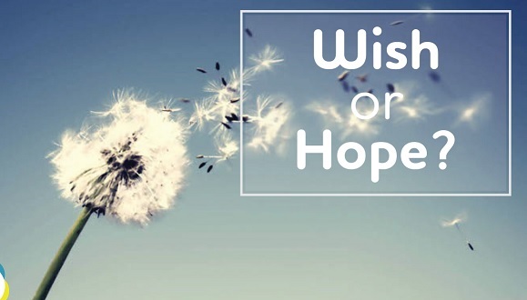 تفاوت wish و hope در زبان انگلیسی