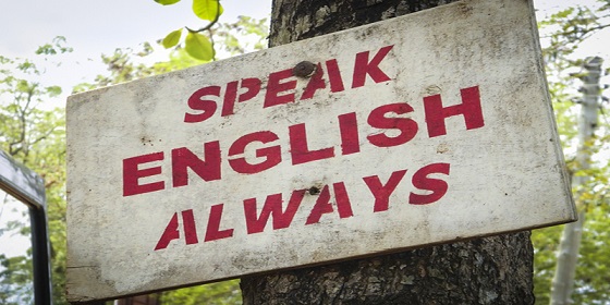 جایگاه always کجای جمله زبان انگلیسی است؟
